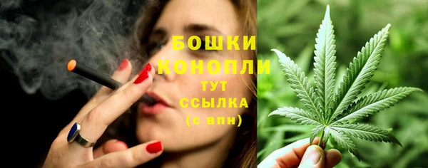 крисы Горняк