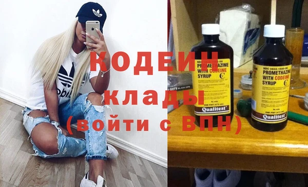 крисы Горняк