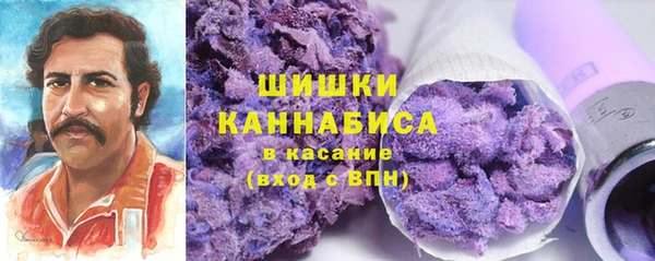 крисы Горняк