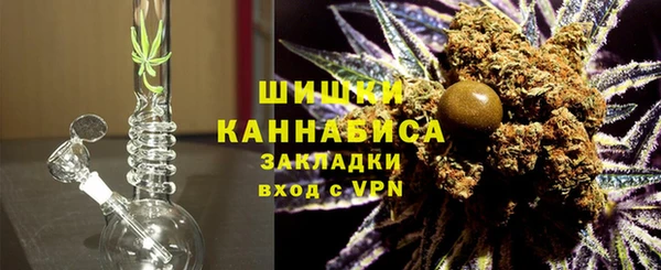 крисы Горняк