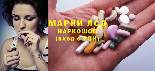 крисы Горняк
